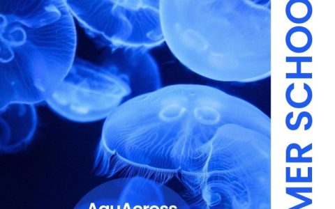 Grafika promująca Szkoła Wodna AquAcross 2026