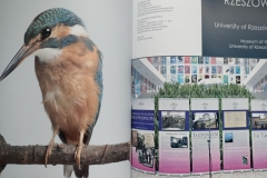 Centrum Historii w katalogu Stowarzyszenia Muzeów Uczelnianych
