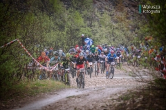 amp_mtb_2019_04