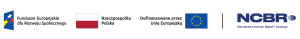 logotypy projektu PB Dostępna 2.0: Fundusze Europejskie dla Rozwoju Społecznego, flaga Polski, dofinansowane przez Unię Europejską, Narodowe Centrum Badań i Rozwoju