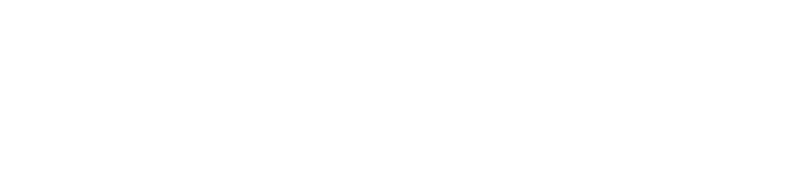 logo Centrum Usług Informatycznych