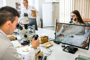 students in laboratory