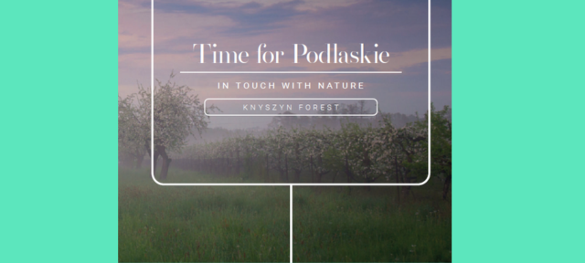 Time for Podlaskie – Knyszyn Forest