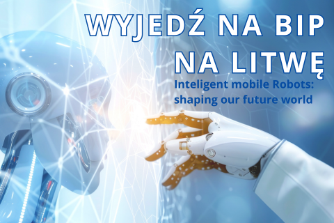 BIP na Litwie