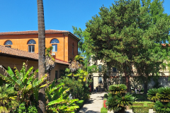 Orto-e-Museo-Botanico-fot.-Aneta-Puchalska