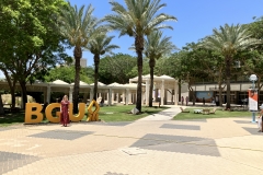 E.Rollnik-Sadowska_campus_4