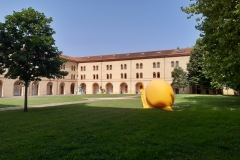 20220627_092834
