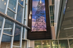 1000035486 1000035486