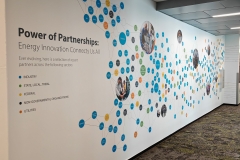 1000035491 1000035491