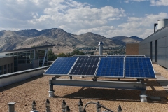 1000035550 1000035550