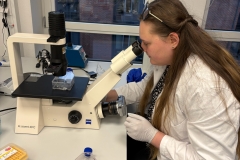 M.-Rodziewicz-w-trakcie-obserwacji-mikroskopowych-arch.-pryw.-M.-Lepickiej