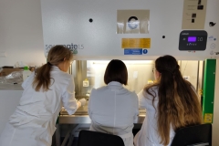 praca-w-laboratorium-arch.-pryw.-M.-Lepickiej