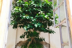 Ogrody botaniczne UniFi, fot. M. Mellini