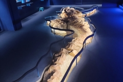 Muzeum Paleontologii i Geologii  UniFi, fot. M. Orpik