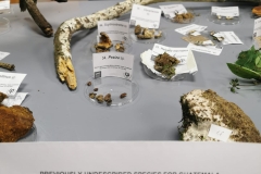 Zdjecie-WhatsApp-2022-09-19-o-23.20.21