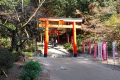 Brama-arch.-pryw.-Mateusz-Sumorek