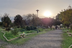 kampus-uniwersytecki