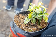 2025-10-10-My-Green-University-2.0-fot-Dariusz-Piekut-PB