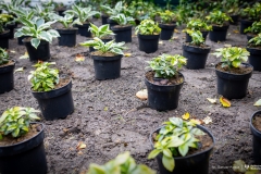 2025-10-10-My-Green-University-2.0-fot-Dariusz-Piekut-PB