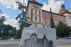 BOKU_fot. D_Misiewicz
