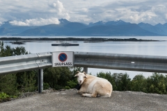 Molde, fot. H. Bramska
