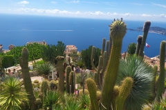 6-Widok-z-Ogrodu-botanicznego-w-Eze