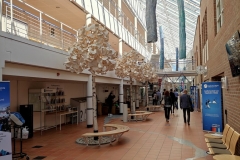 molde_08
