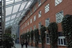 Faculty of Information Technology and Electrical Engineering