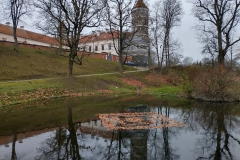 Zamek Panemune, autor Radosław Górski
