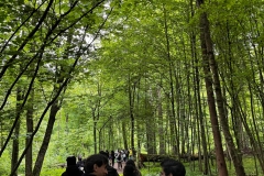 Studenci na wycieczce w Białowieży, fot. arch. IRO