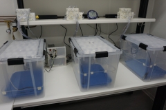 Przyklad-srodowisk-kontrolowanych-arch.-pryw.-P.-Kieczmersk