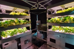 Srodowiska-kontrolowane-z-wykorzystaniem-metod-hydroponiki-arch.-pryw.-P.-Kieczmersk