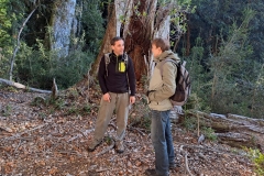 Andres de Errasti i Yauheni Yurchanka na tle lasu pierwotnego Nothofagus dombeyi w Parku Narodowym Los Alerces; fot. C. Arguiano