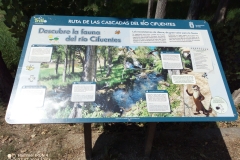 Ruta-de-Las-Cascados-del-Rio-Cifuentes-Caminos-de-La-Fuenfrivia-XXIV-2-fot.-JGZuzda