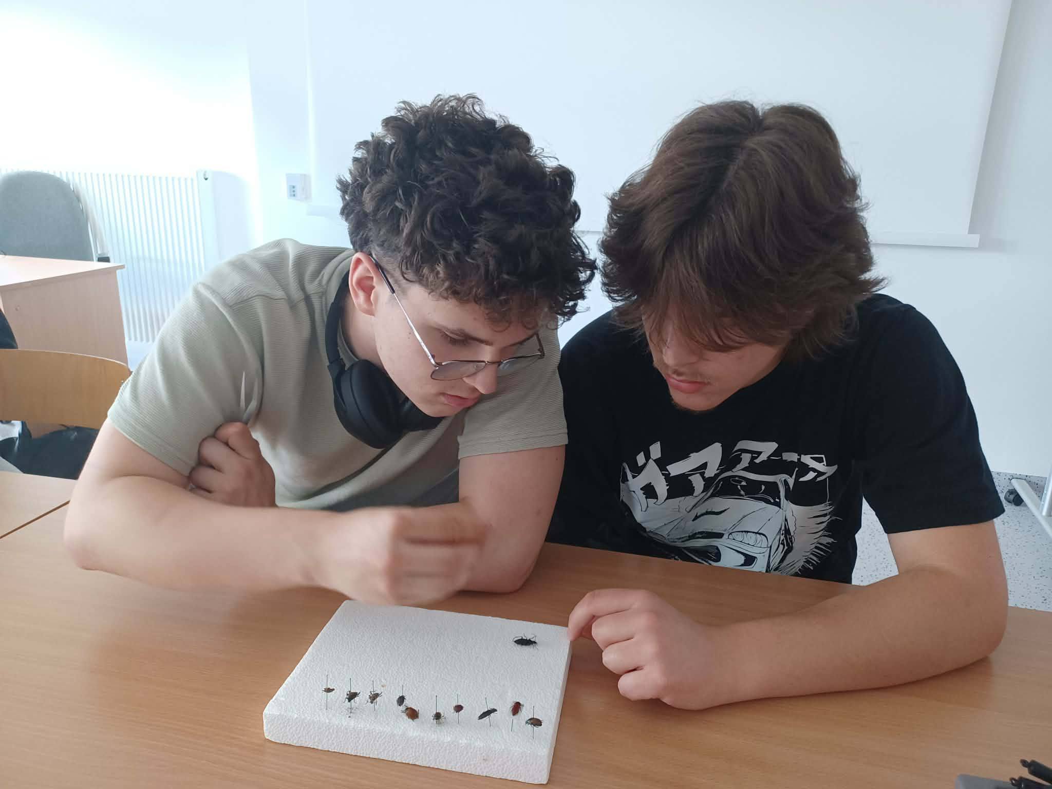 erasmus+