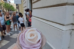 Wycieczka do Budapesztu