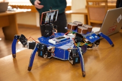 Projekt ArachOmega