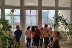 Warsztaty dla dzieci - Owady - Erasmus+