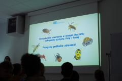 Warsztaty dla dzieci - Owady - Erasmus+