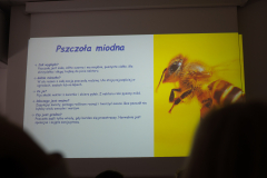 Warsztaty dla dzieci - Owady - Erasmus+