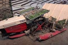 Projekt-MINT-24