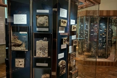 Muzeum-Erasmus-10