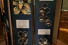 Muzeum-Erasmus-12