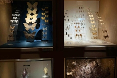 Muzeum-Erasmus-3