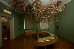 Muzeum-Erasmus-4
