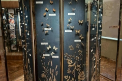 Muzeum-Erasmus-9