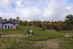 Pokazowy-Rezerwat-Zubrow-13