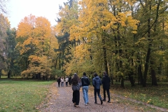 Pokazowy-Rezerwat-Zubrow-25