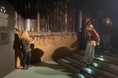 Muzeum-Przyrodnicze-Bialowiecki-park-Narodowy-34