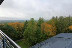 Muzeum-Przyrodnicze-Bialowiecki-park-Narodowy-36